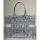 Replica Christian Dior Small Dior Book Tote