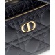 Fake Christian Dior Caro Double Pouch Replica