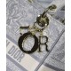 Replica Christian Dior Medium Lady D-Lite Bag Gray