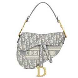 Fake Christian Dior Saddle Original Oblique Embroidered Canvas Bag Gray Replica