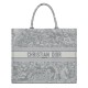 Fake Christian Dior Book Tote Gray Replica