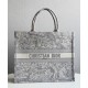 Fake Christian Dior Book Tote Gray Replica