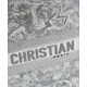Fake Christian Dior Book Tote Gray Replica