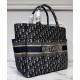 Replica Christian Dior Katrina Handbags Dark Blue