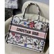 Replica Christian Dior Small Dior Book Tote White
