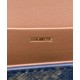 Replica Celine Chain Shoulder Bag Triomphe In Triomphe Canvas Coffee