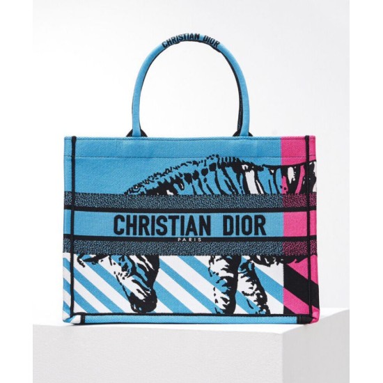 Fake Christian Dior Medium Dior Book Tote Blue Replica