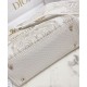 Replica Christian Dior Medium Lady D-Lite Bag Golden
