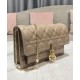 Fake Christian Dior Lady Dior Chain Pouch Apricot Replica