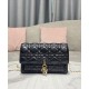 Fake Christian Dior Lady Dior Chain Pouch Black Replica