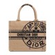 Fake Christian Dior Small Book Tote Apricot Replica