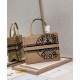Fake Christian Dior Small Book Tote Apricot Replica