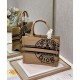 Fake Christian Dior Small Book Tote Apricot Replica