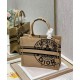 Fake Christian Dior Small Book Tote Apricot Replica