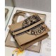 Fake Christian Dior Small Book Tote Apricot Replica