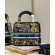 Fake Christian Dior Medium Lady D-Lite Bag Replica
