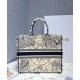 Fake Christian Dior Book Tote Multicolor Dior Around the World Embroidery Blue Replica