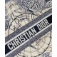 Fake Christian Dior Book Tote Multicolor Dior Around the World Embroidery Blue Replica