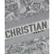 Fake Christian Dior Small Dior Book Tote Gray Replica