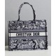 Fake Christian Dior Small Dior Book Tote Black Replica