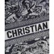 Fake Christian Dior Small Dior Book Tote Black Replica