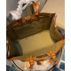 Fake Peekaboo X-tote Canvas bag 8BH374 Coffee Replica