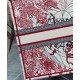 Fake Christian Dior Dioramour Dior Book Tote Red Replica