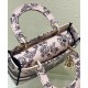 Replica Christian Dior Medium Lady D-Lite Bag Cream