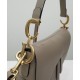 Replica Christian Dior Saddle Bag With Strap Apricot