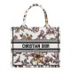 Replica Christian Dior Small Dior Book Tote Cream