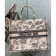 Replica Christian Dior Large Dior Book Tote Apricot