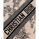 Replica Christian Dior Large Dior Book Tote Apricot