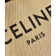 Fake Celine Large Square In Textile With Celine Print Calfskin Apricot Replica