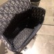 Replica Christian Dior Obligue Rucksack Black