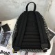 Replica Christian Dior Oblique Backpack Replica Christian Dior Oblique Backpack