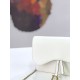 Replica Christian Dior Saddle Woc Chain Bag M5620 White