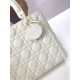 Fake Christian Dior Lady Dior Ultra-Matte Bag White Replica