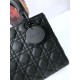 Fake Christian Dior Lady Dior Ultra-Matte Bag Black Replica