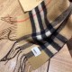 Fake Burberry Double-sided Letter Logo Check Cashmere Wool Shawl 30 x 180 Brown Replica Replica Burberry Double-sided Letter Logo Check Cashmere Wool Shawl 30 x 180 Brown