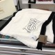 Replica Burberry BT Cashmere Shawl 50 x 185