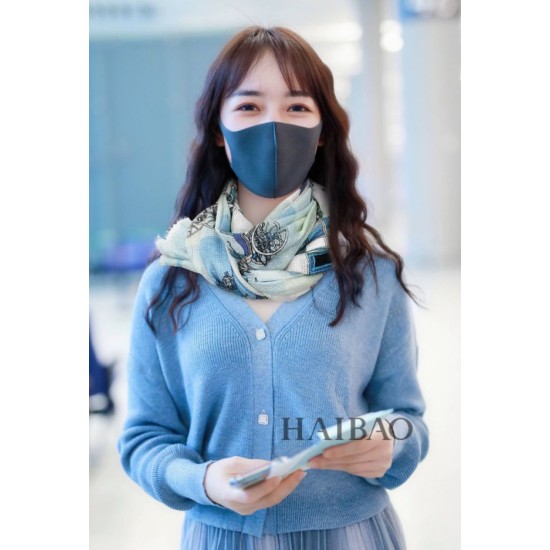 Fake Hermes Carriage Solitaire Cashmere Shawl 110 x 200 Sky Blue Replica